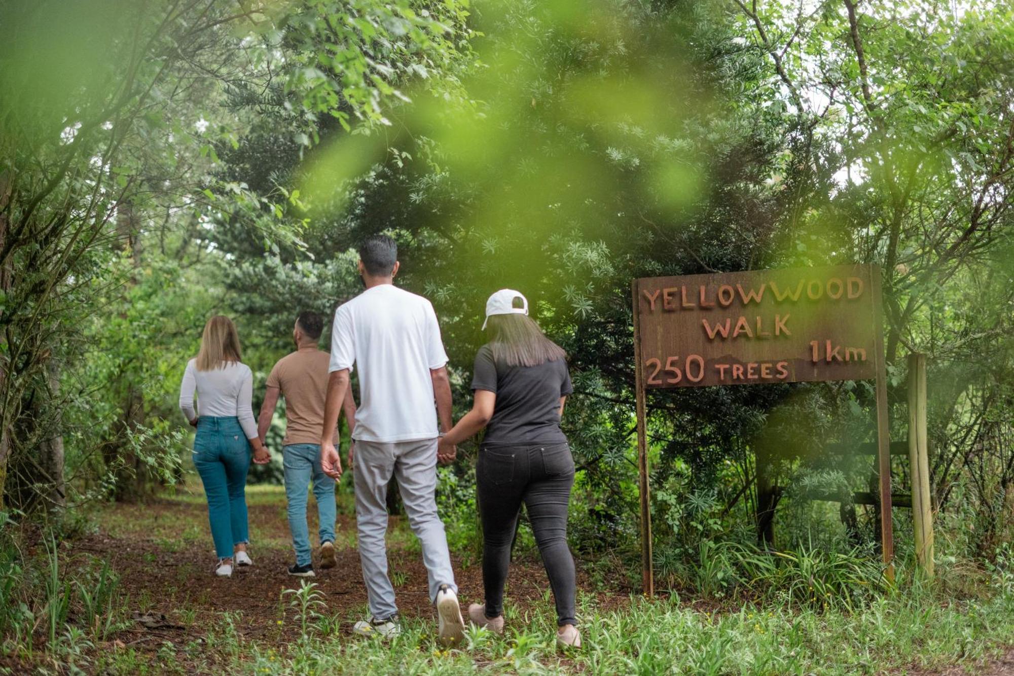 Africamps Champagne Valley エクステリア 写真